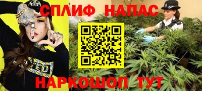 гидра Малоярославец
