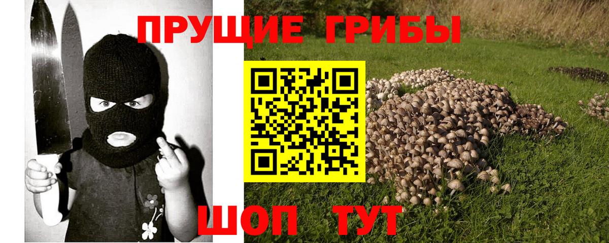 Галлюциногенные грибы MAGIC MUSHROOMS Зеленодольск
